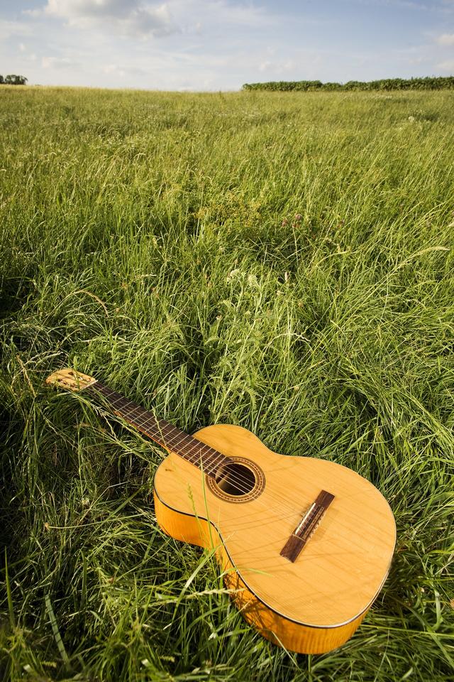 Guitarra abandonada en el campo. Imagen de dominio público