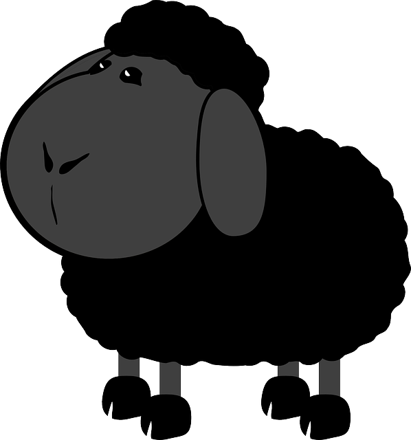 Una oveja negra