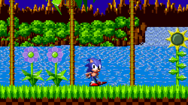 El personaje de Sonic the Hedgehog mirando al jugador esperando que le de órdenes