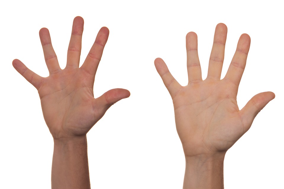 Dos manos alzadas en una votación