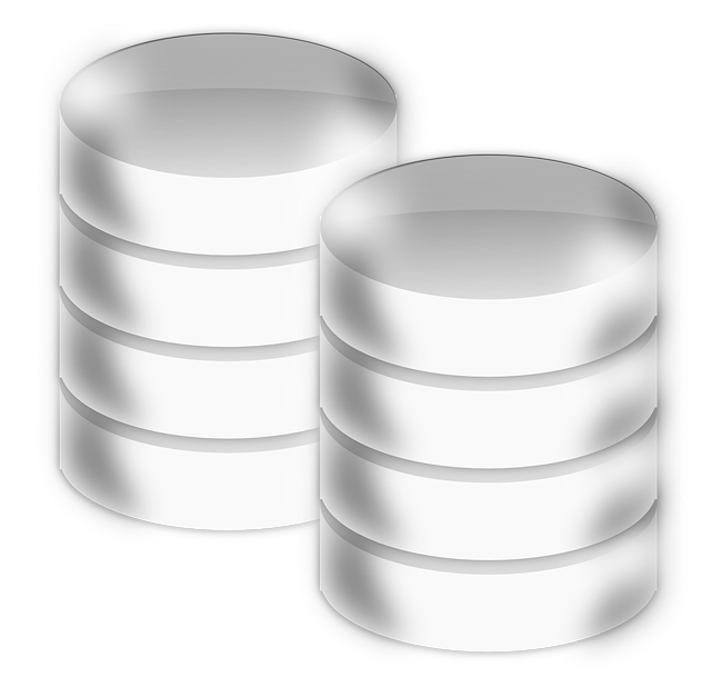 Ilustración que simboliza dos bases de datos con dos cilindros de discos